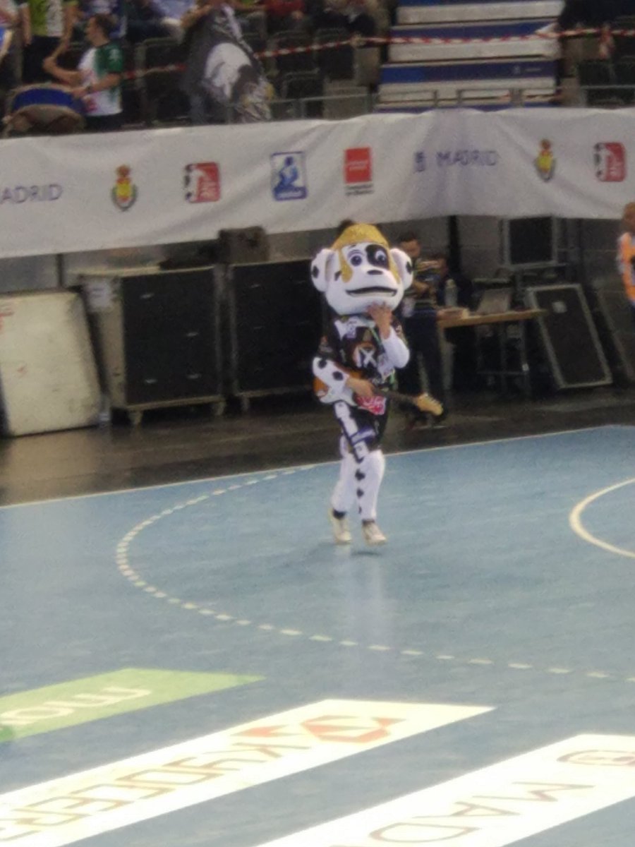 evaranda22's tweet photo. Estar disfrutando de la #copadelreydebalonmano2018 y encontrarte con esto, te hace recordar a @davidbroncano  y @LaResistencia .
#mascotasmolonas https://t.co/KcD610KR1q