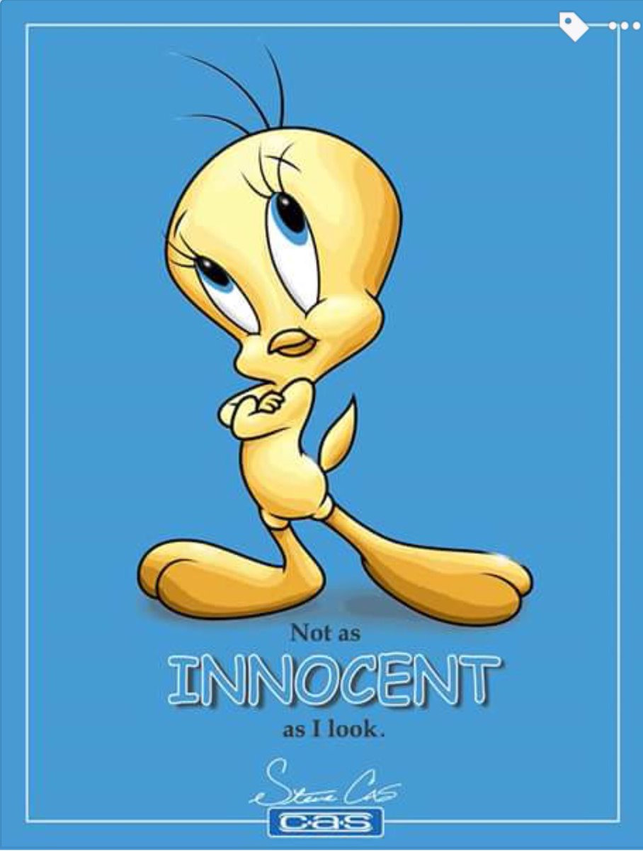 STEVE CAS - decided to share some WB art created early in my career.