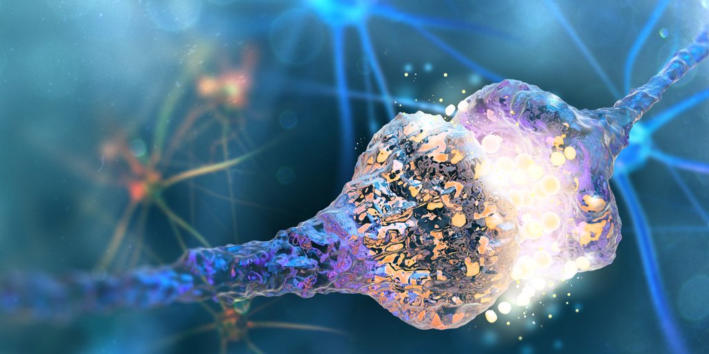 FrontiersIn's tweet photo. Muscarinic M4 Receptors on Cholinergic and Dopamine D1 Receptor-Expressing Neurons Have Opposing Functionality for Positive Reinforcement and Influence #Impulsivity: https://t.co/TUADQvTsbC #addiction #rewardlearning https://t.co/RSUE5uvL2V