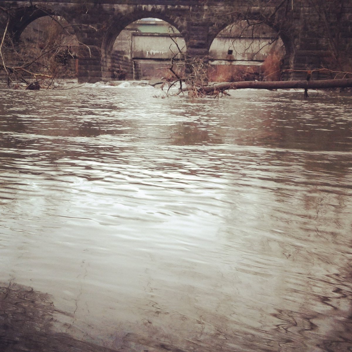 #Fishing #fishin #fishNY #tightlines #fishinglife #peelindrag #creekside  #countrylife #livetofish