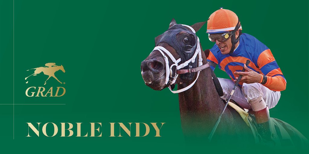 Spotlight on #KeeGrads in the #KyDerby: #KeeSept yearling and Louisiana Derby (G2) winner NOBLE INDY
<a href="/WinStarFarm/">WinStar Farm</a> <a href="/DenaliStud/">Denali Stud</a> <a href="/flothejock/">Florent Geroux</a>