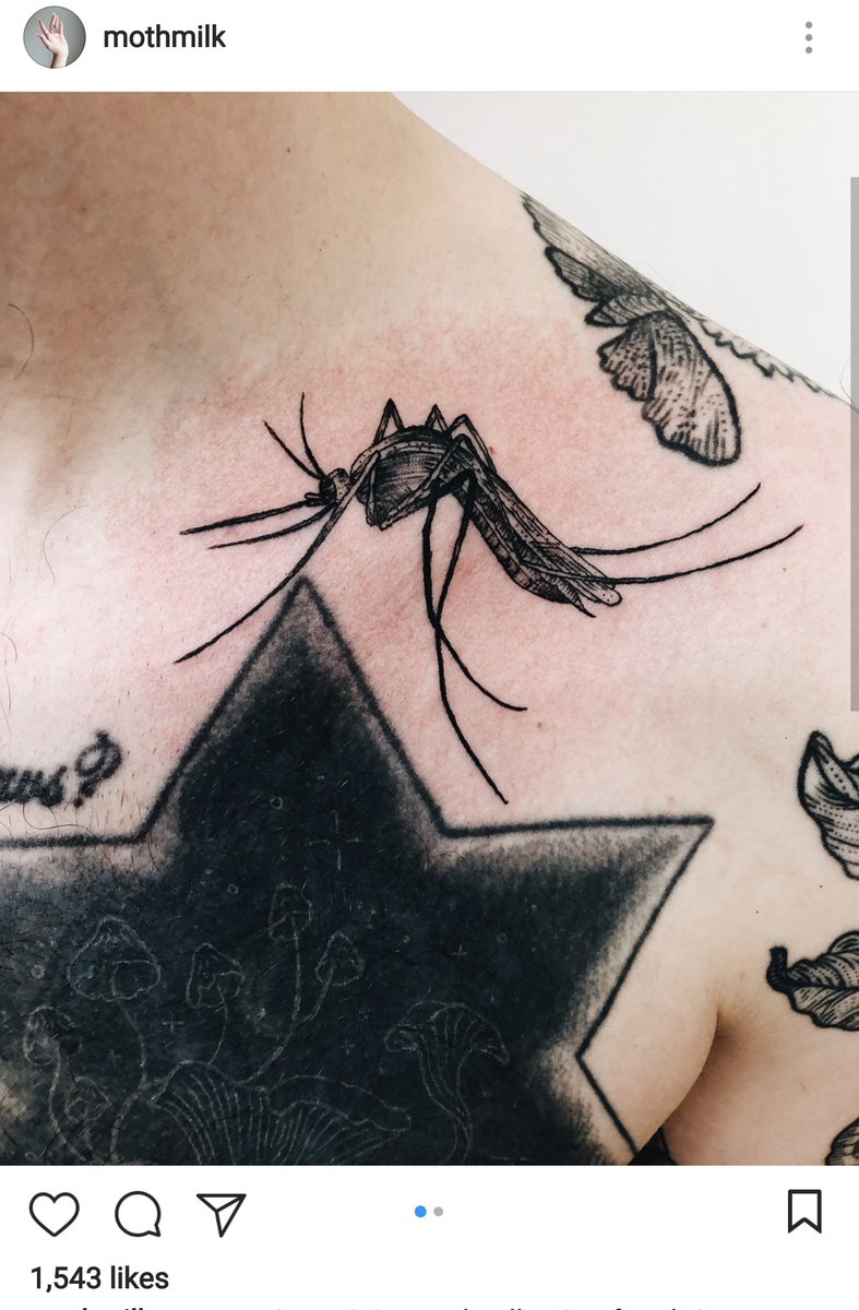 petercoffey's tweet photo. I never see mosquito tattoos, which is a shame because look how good this looks!! ๐ฆ โฅ๏ธ #inkbug https://t.co/2VD7qSICQa