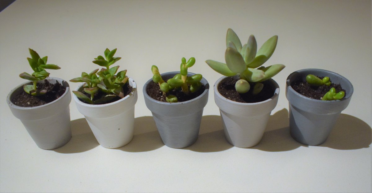 TheCraftys's tweet photo. RT @MakingThisHome: My latest little DIY home decor project. I bought planters from the dollar store and gave them a DIY makeover with chalk paint.https://t.co/7ZLiBzwJVy #DIY #decor #spring #homeimprovement #diydecor #succulents #plants #decorprojects https://t.co/8nDGK2gA0j