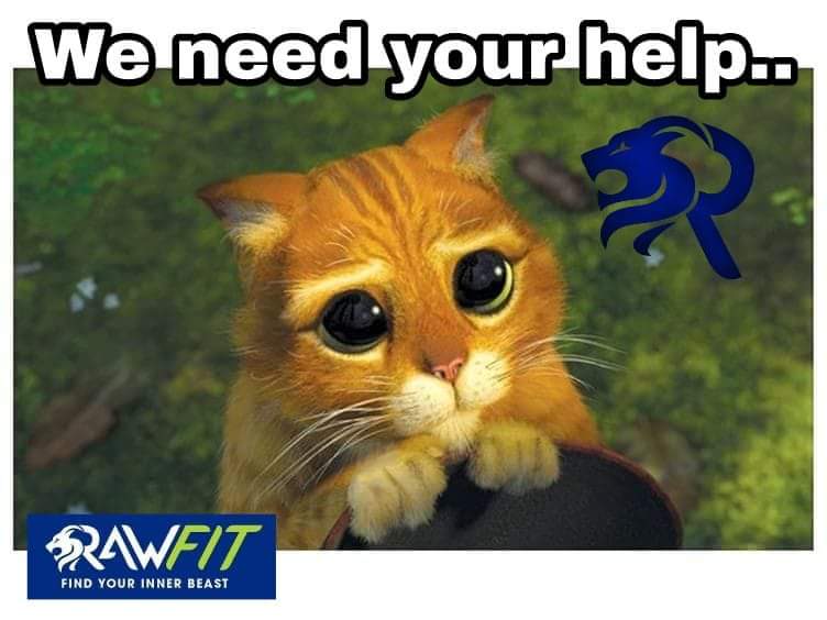 RAWFIT1's tweet photo. Please take a few minutes to read our pitch.

We want to expand, do more, we need your help.

https://t.co/kpc8L1UWmO

#voteraw #voom #RAWFIT #VOOM2018 #Crowdfunding #helpinghand #rawfitandsane #healthybodyandmind https://t.co/OmYX33OL8T