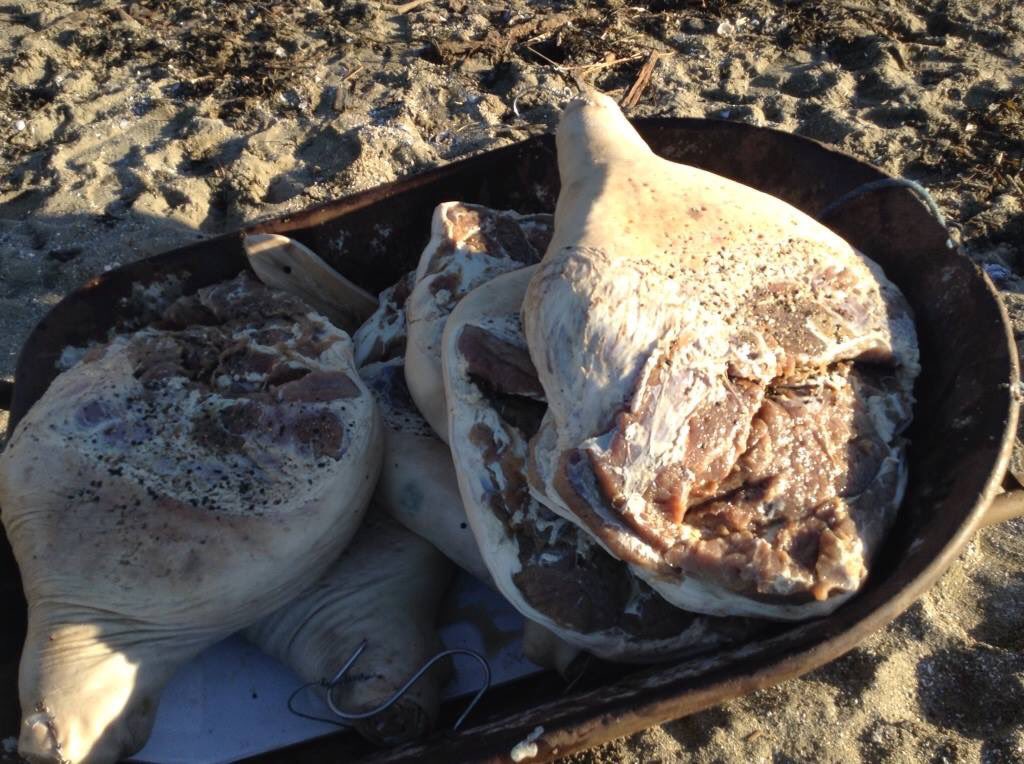 twitweeting's tweet photo. A friend and I watched two older men moving a rusted old wheelbarrow from the parking lot, over the sand to the water. They were washing prosciutto in the ocean. There was a sewage line nearby. 
I am serious about this. 
#truestory 
#OnceAtTheBeach https://t.co/QFgQ3ZDDw4