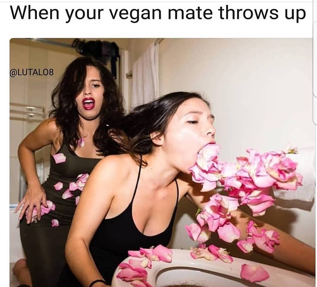 Nasimvegan's tweet photo. #Vegan #Govegan #Nasim #NasimAghdam #Meme #Memes https://t.co/nh0vHpdKsv