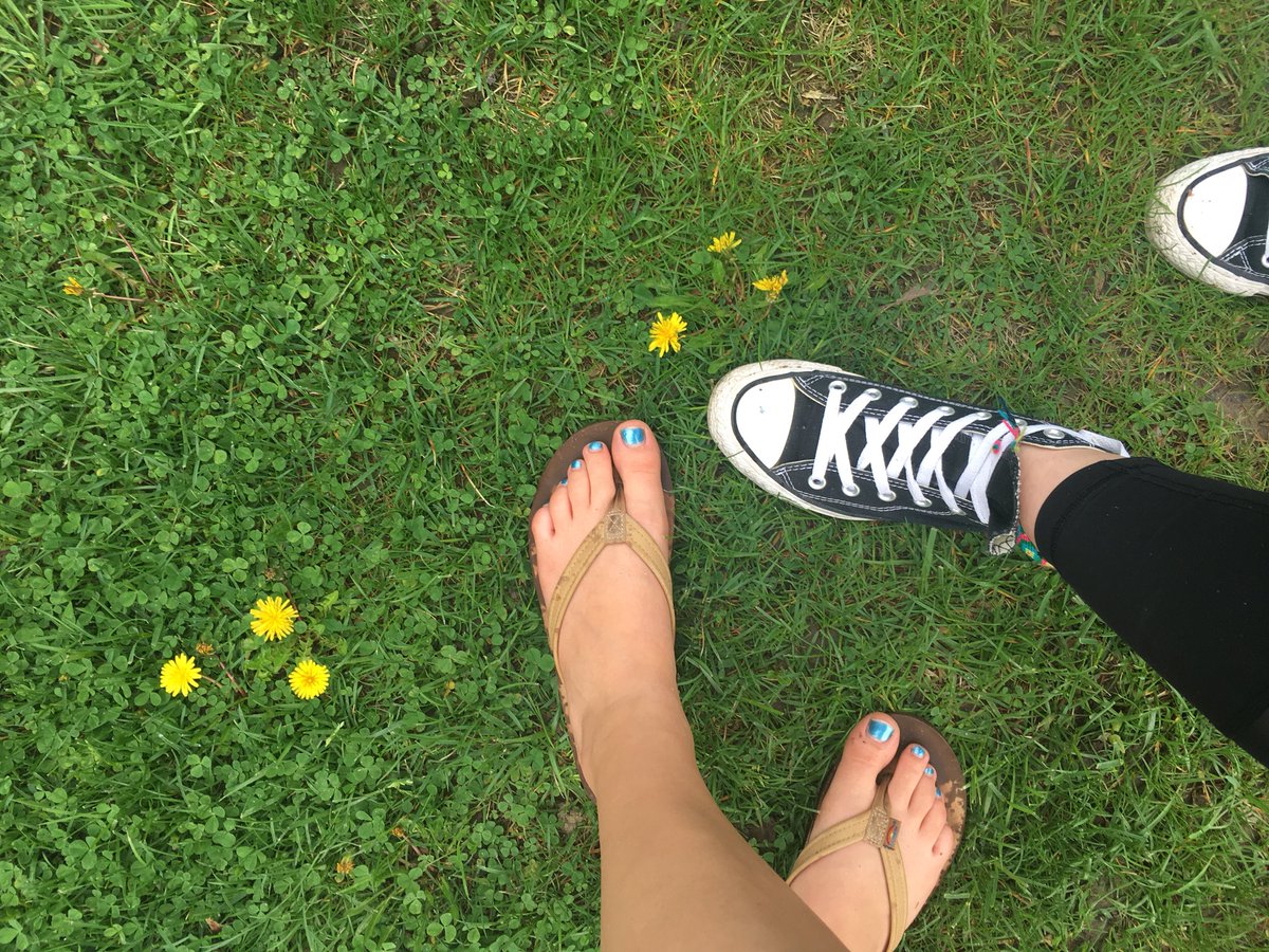 FLHS_riyaa's tweet photo. A dandelion is a taraxacum which provides pollen for bees, grows in meadows and it moves towards the sun when it grows. It’s a producer so it makes its own food. #characteristicsoflife #niche #flecosystem 🌻🌼🌎 https://t.co/xiGwVbH2xv