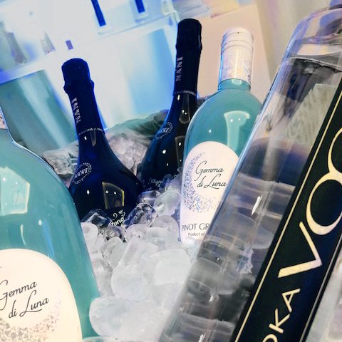 Chilled to perfection at the 75th Annual WSWA Convention &amp; Exposition.

#WSWA #WSWA75 #GemmaDiLuna #ItalysGems #Wine #ItalianWine #VOGAItalia #VOGAVodka #DrinkInStyle #Vodka #ItalianVodka #AlbertoNani
