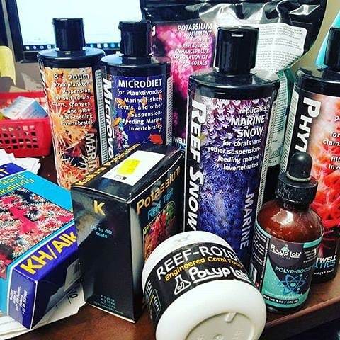 Brightwell_Aqua's tweet image. What I dose my office tank 😁 Just got these babies in! 
#brightwellaquatics #supplements #additives #allmymoneygoestocoral #saltwater #reeftank 📷: @canadian_coral_addict Thanks for trying Brightwell Aquatics. ift.tt/2rmOjHv