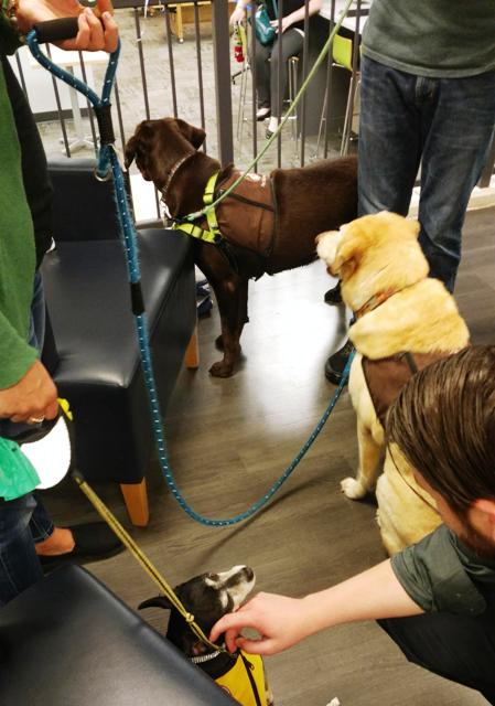 Barnes Noble Unt On Twitter Come See Rockstar Willow And