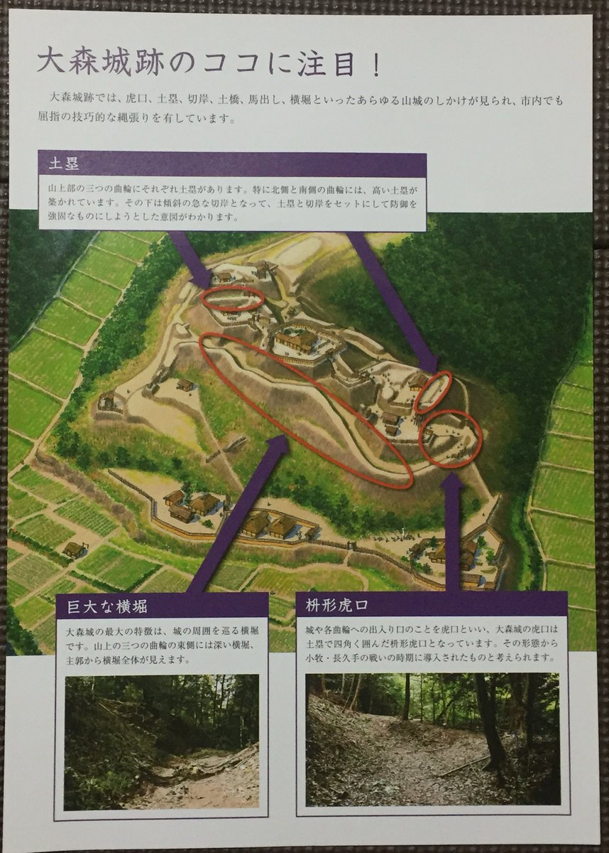 るーちん 美濃大森城は 織豊系城郭 の特徴を持つ城なんだけど 元々は在地土豪の奥村氏の城からの改修と考えられていて 0から築城された織豊系城郭ではない 在地の手法で築かれた城の特徴を持つ 織豊系城郭という 興味深い例だと思う るーちん 美濃大森城は 織豊系城郭 の特徴を持つ城なんだけど 元々は在地土豪の奥村氏の城からの改修と考えられていて 0から築城された織豊系城郭ではない 在地の手法で築かれた城の特徴を持つ 織豊系城郭という 興味深い例だと思う