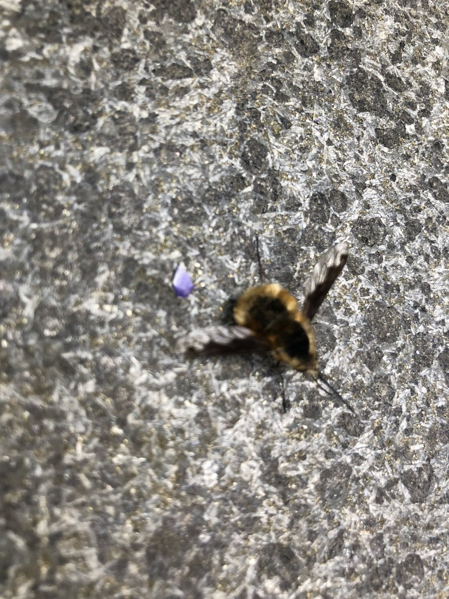 Matt Dawson tweet media