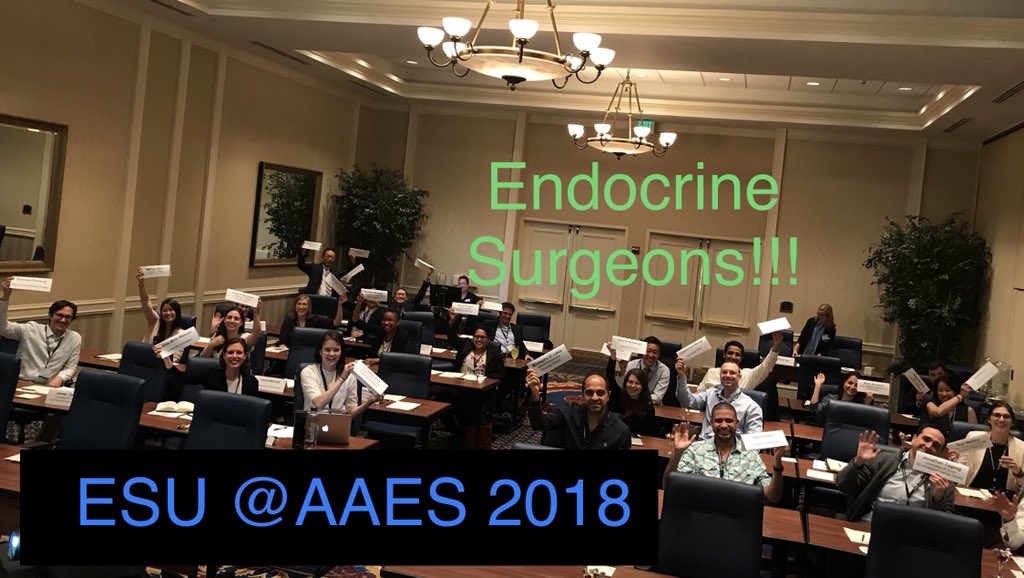 MiraMilasMD's tweet photo. Endocrine Surgery University #AAES2018 https://t.co/jwiwbNoIHL