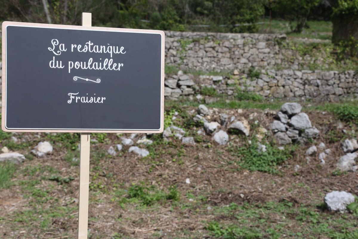departement06's tweet photo. Une production qui sera vendue en privilégiant les circuits courts : marchés, restaurants locaux et approvisionnement de la plate-forme #06ATable, créé par le #Département06 afin d’assurer une restauration collective constituée de produits locaux de qualité. #agriculture https://t.co/U61EL3k8jU