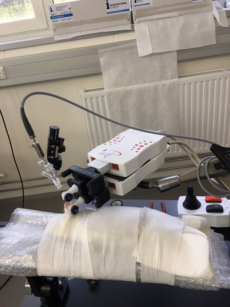 PolyDiagnost's tweet photo. Today we successfully punctured eardrums under endoscopic-robotic-control with the #iSYS1 and #PolyDiagnost #semirigid_endoscopes . The "patient" was perfectly located by the help of #iFIX https://t.co/oQ2YhlUsof