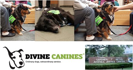 somethingtoadd's tweet image. It's always a great morning when @divinecanines shows up at Gardner Betts. Smiles and love all around when Mia &amp;amp; Jasper visited with our residents ... that carries right over into the classroom for an ideal learning environment! @AustinISDSEL