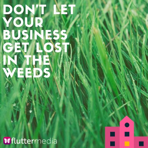 Flutter Media tweet media