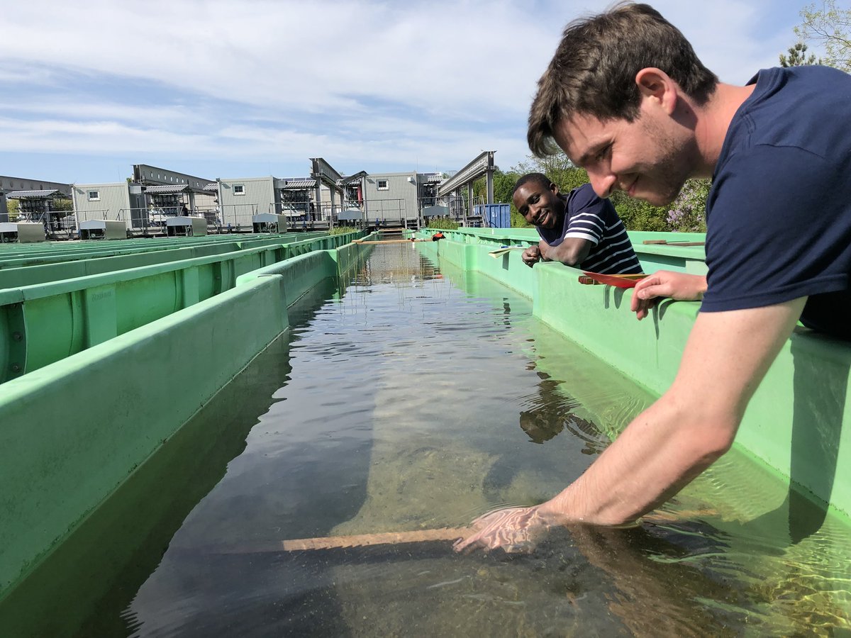 skuylerherzog's tweet photo. Successful #FlumeFreitag at the Umweltbundesamt in Berlin with @HypotrainITN colleagues. Das ist gute Arbeit. https://t.co/OXHK9Zedtm