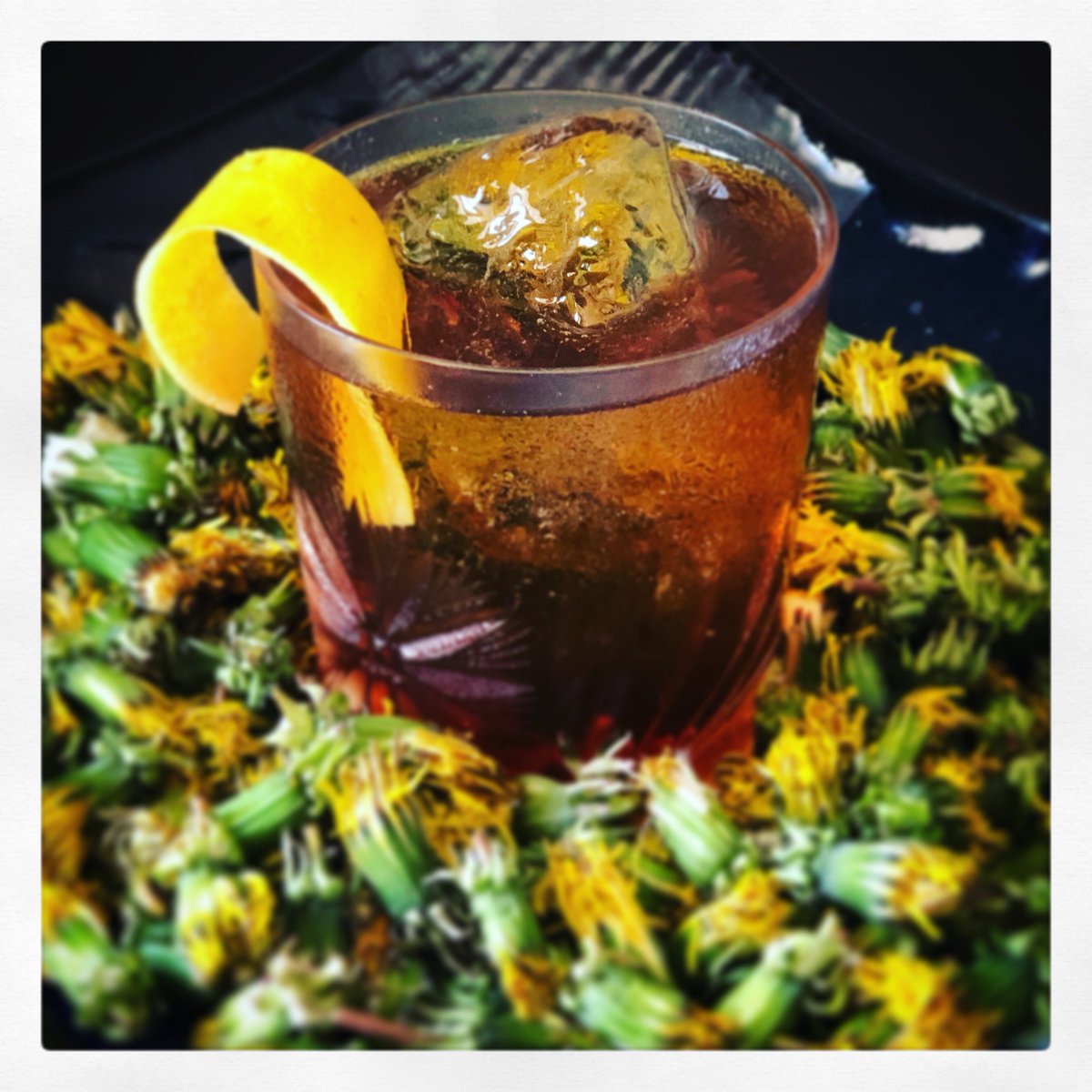 elements princeton tweet media