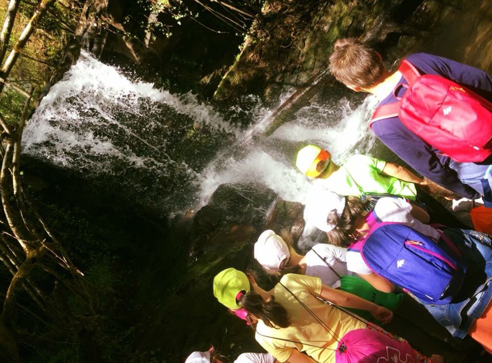 BierzoNatura's tweet image. En estos meses nos visitarán muchos colegios para disfrutar de mucho más que una excursión, ”El Bierzo, destino educativo de calidad”. Aquí os dejamos el cole que nos ha visitado hoy. ¡Genial grupo, genial día! 👦🏻👧🏻 #BierzoNatura #ExcursionesFindeCurso 💚