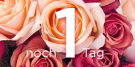 Bertelsmann_DE's tweet photo. #Rosenball18 #Charity #SchlaganfallHilfe25 #cantwait for @FraukeLudowig1 @KretschmerGuido @adeltawil @bryanferry #PatriciaKelly @DanielDonskoy @ECKES_NAZAN @JorgeChicasWalk @MissSMeis @Grace_Capristo @herbstblond @maria u.v.m. https://t.co/jPk2eYfahh