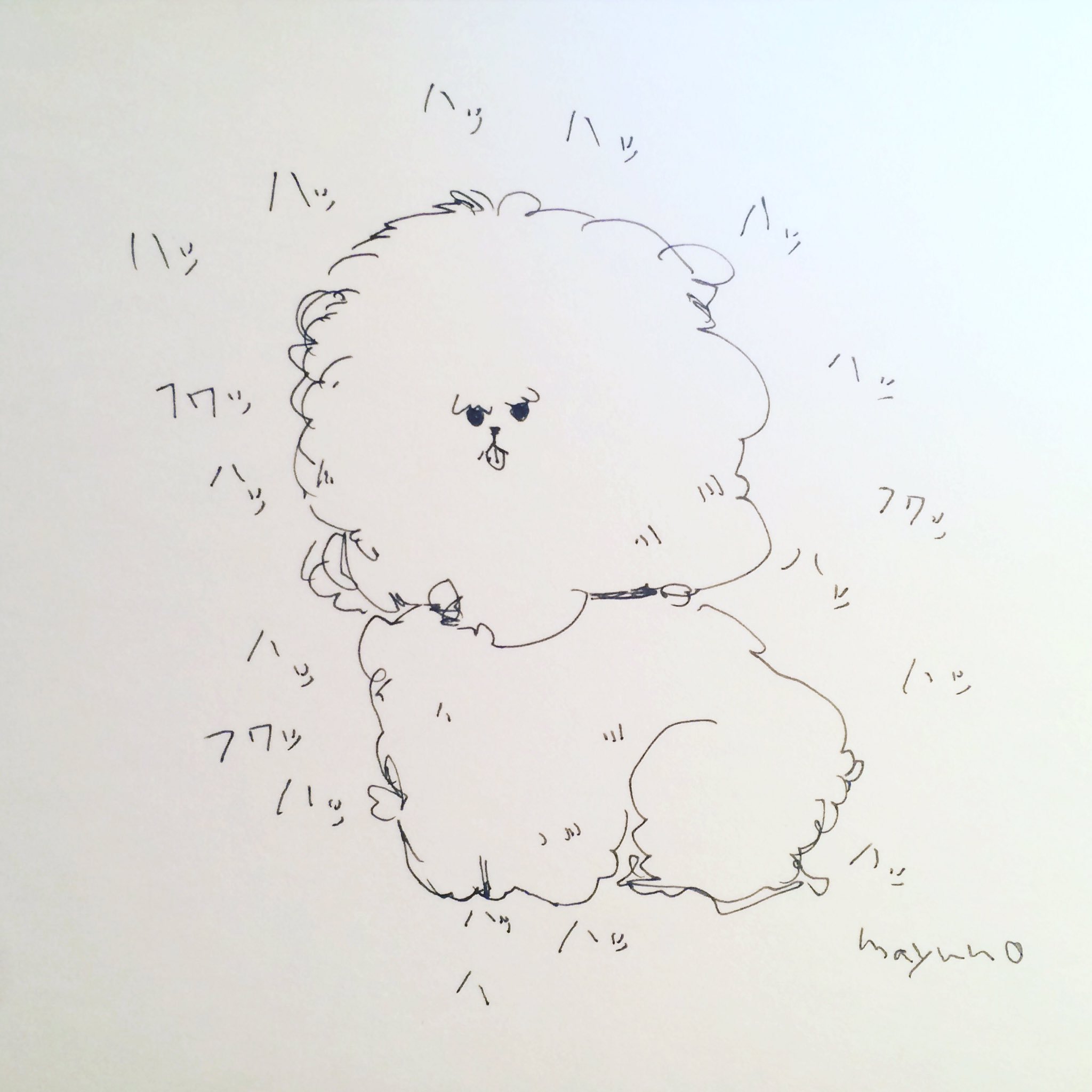 こばやし まゆの A Twitter 息が荒いふわふわのビションフリーゼ ビションフリーゼかわいい イラスト いぬ T Co Yqvxoesggg Twitter