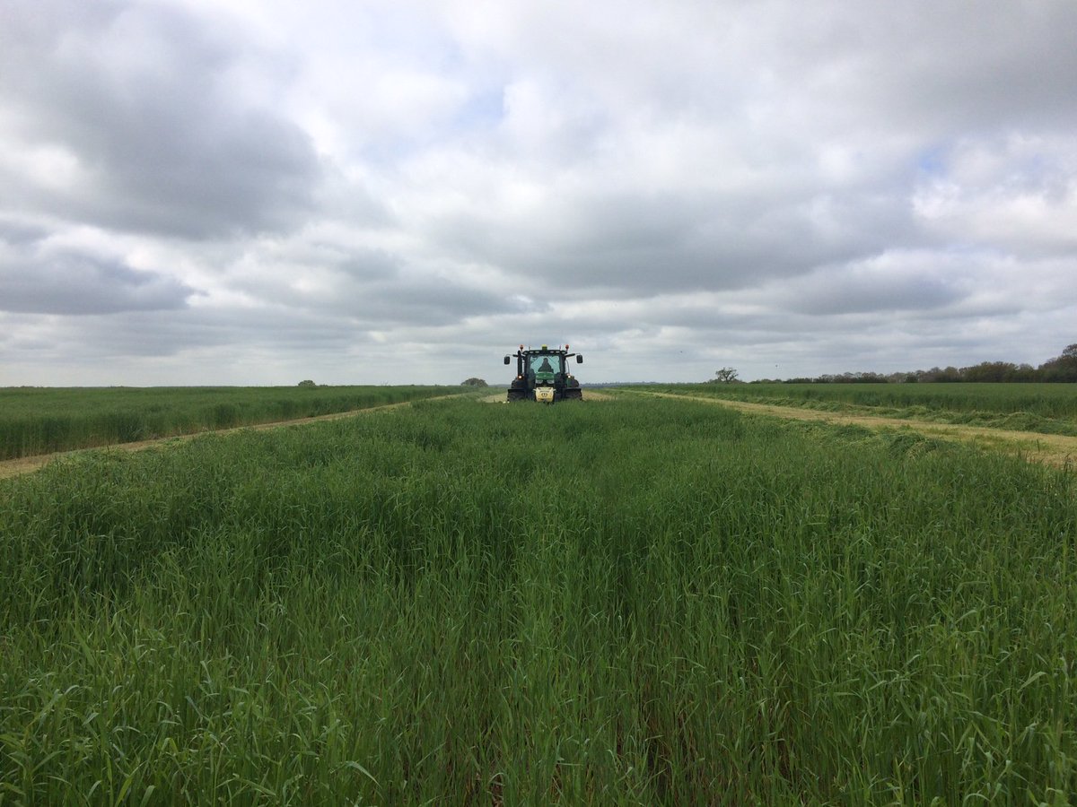 FarolLtd's tweet photo. Photos from Byfield area salesman Dan Phipps of a recently sold John Deere 6215R setting off grouping some Italian Rye Grass using SF1 guidance. #Grass18 #FarolTechnology https://t.co/opIIRVysiw