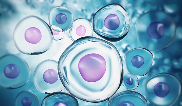 CCTreatment's tweet photo. Users of the CC Treatment with cancer, infections, or other abnormal cells should expect reactions. These are encouraging signs: https://t.co/OjTlG6ZCeQ #cctreatment #alternative #immunesystem #prevention https://t.co/1m58i64LQX