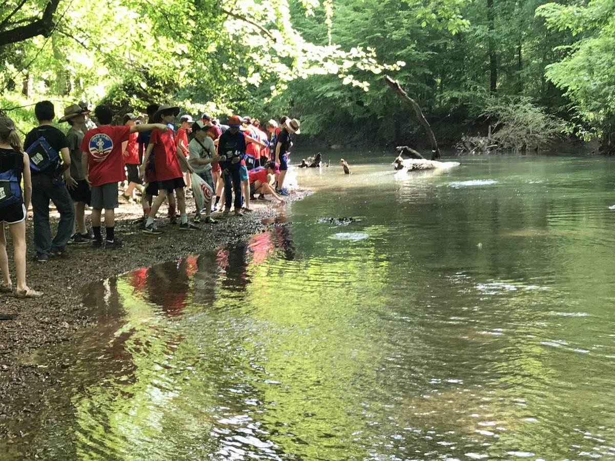 msquarlesclass's tweet photo. We thoroughly enjoyed learning about the Goldsmith-Schiffman Wildlife Sanctuary from Mrs. Margaret Ann Goldsmith this morning on our nature hike for #GreenFling2018! 
Learning about nature, while in nature is the best! #5thGradewithMsQ✨ @HSVk12 @gsesowls https://t.co/dnP9pTkBRs