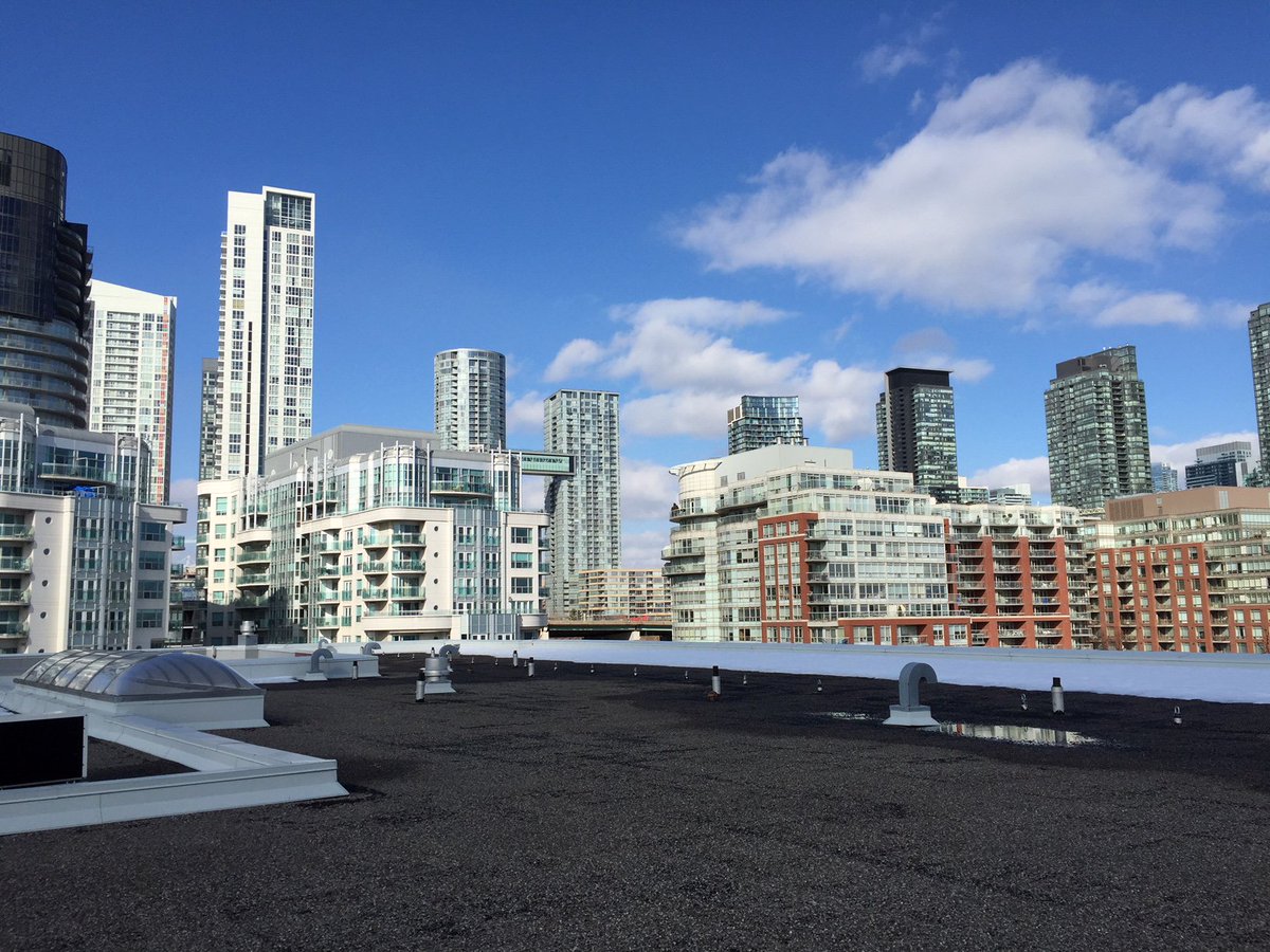 Pan Am Path (NGO) tweet media