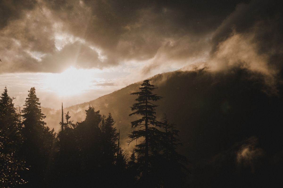 Daily feature location in #BowenIsland #BC #Canada

Shot by <a href="/thetaralilly/">Tara Lilly</a> - goo.gl/rpY4DZ

#scouttmaps #scoutt #mountains #sunset #sunrise #forest
