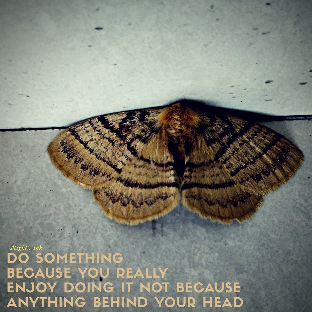 anggi_wedo's tweet photo. #nightink #butterflies #enjoy #dosomething #usefulthings #selfcollection #wof #enjoythings #GoodNightTwitterWorld https://t.co/rHfc0svEi2