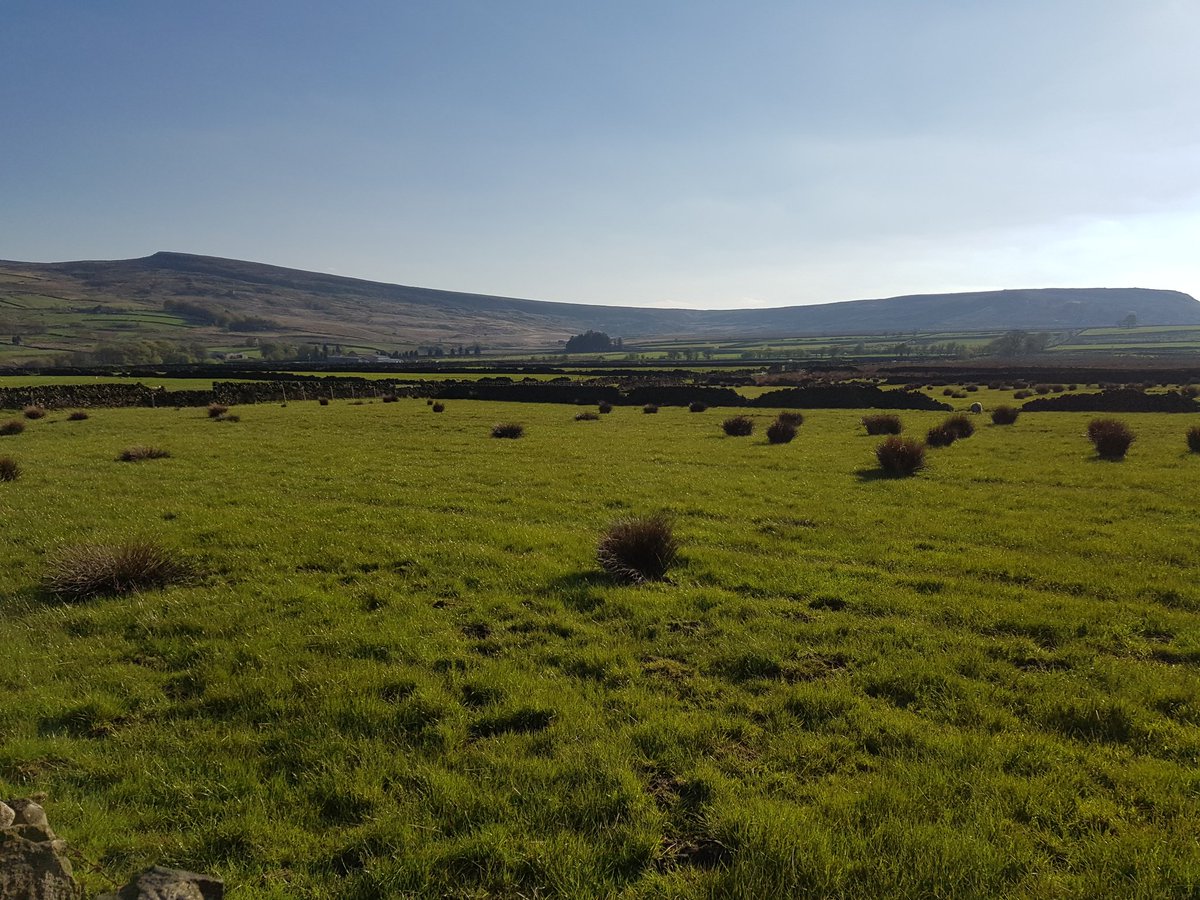 MarkCatney's tweet image. Nice to finish work after a long week and go on a date with wifey #MyLocal #MyShortsFittedToo