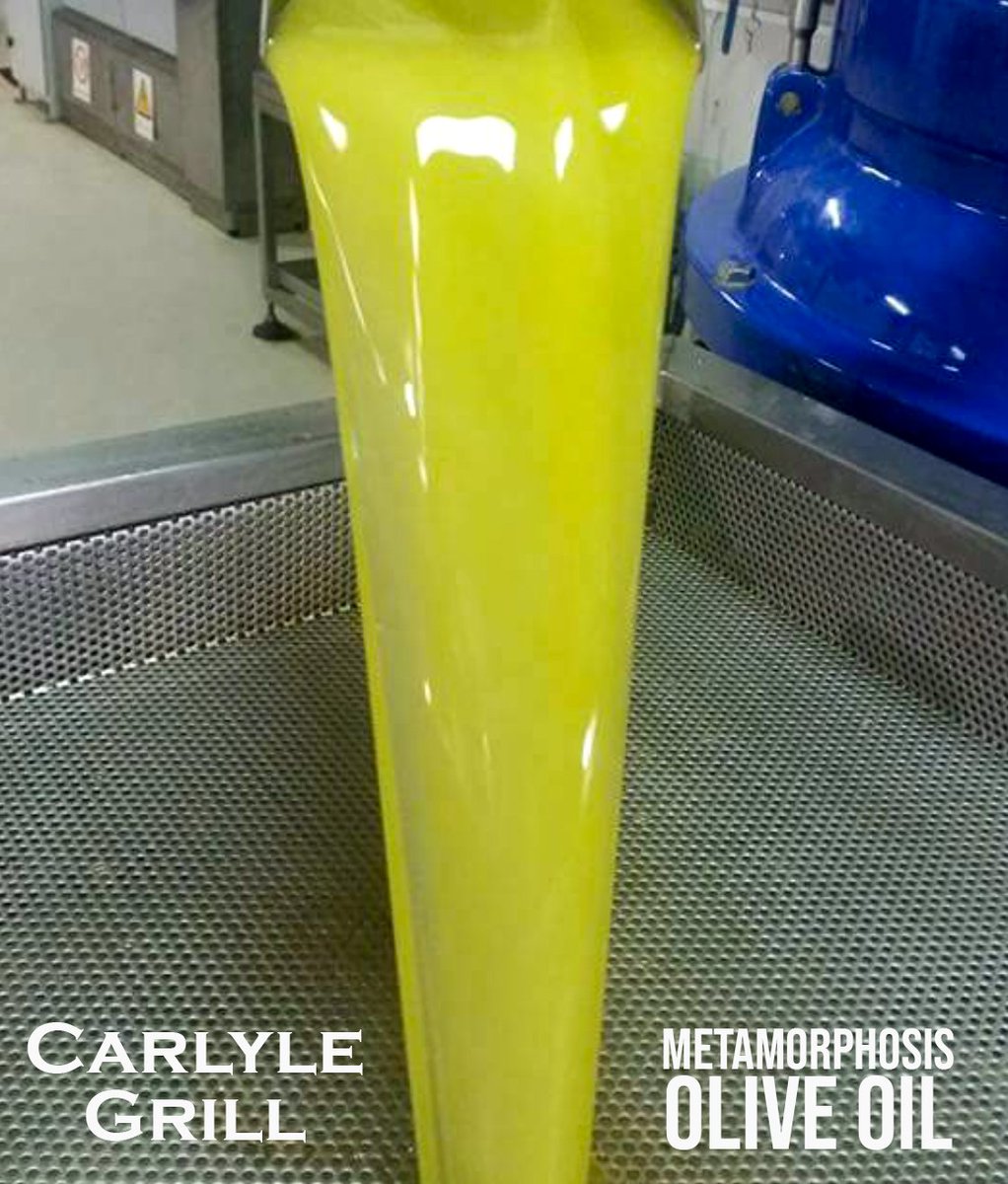 CarlyleGrill's tweet photo. Did you know that we source and make our own olive oil?!
Here is a picture of our olive oil at first press. Come try some for yourself to taste the difference! 
#EatLocal #AnnArbor https://t.co/DmnVq5LbOj