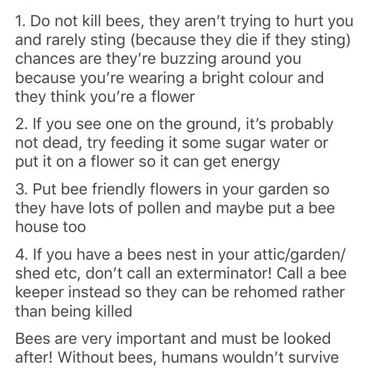 Bees are good, so let’s keep them around. 🐝 #savethebees #helpthebees #beesmatter #bringbackthebees