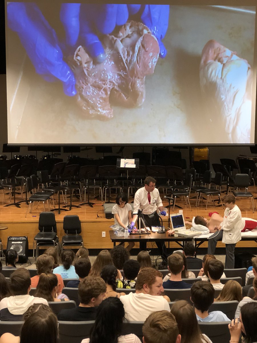 Casey Davidson tweet media