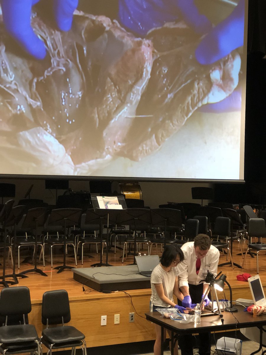 Casey Davidson tweet media