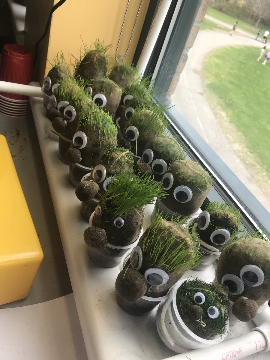 It’s Crazy Hair Day so we thought it’d be appropriate to give our grass heads a trim!