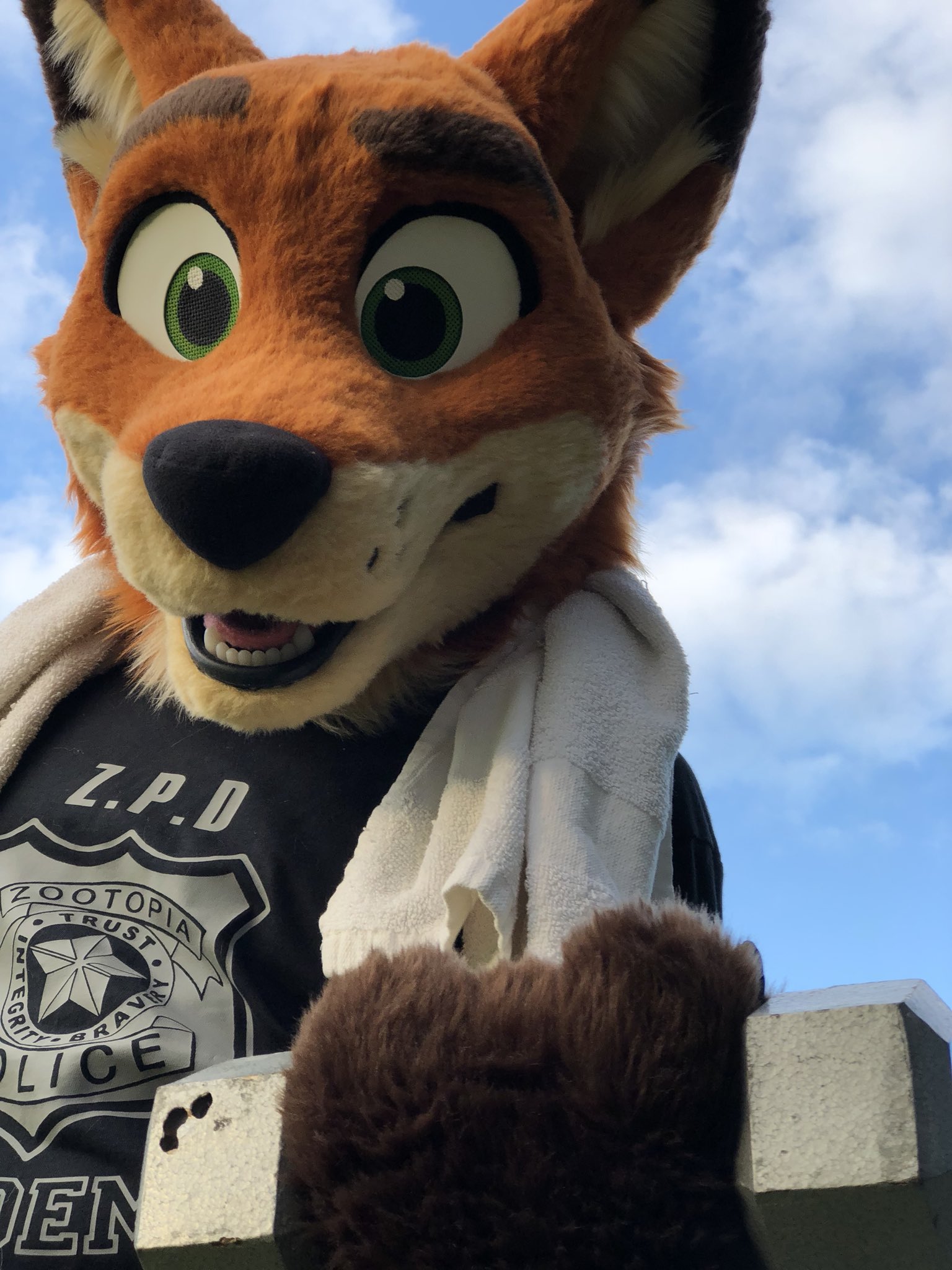 how to say hi sign language