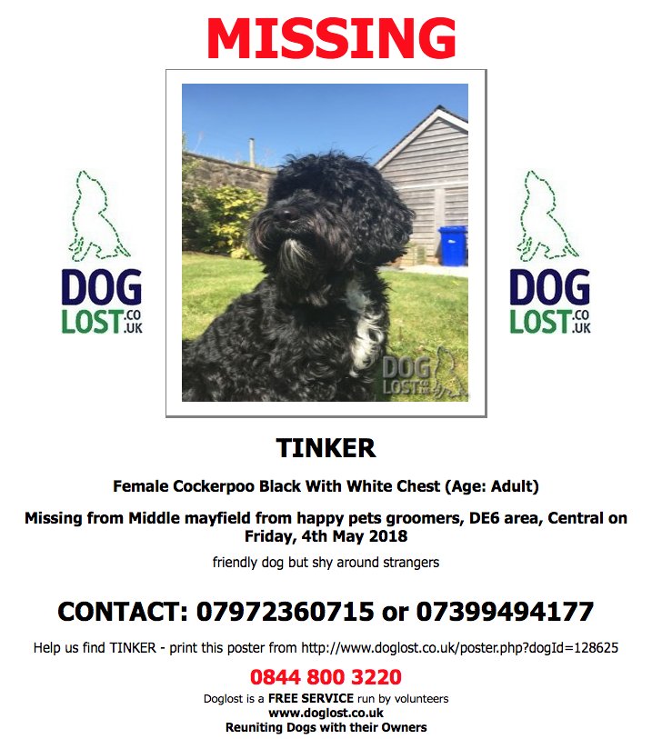 DogLostUK's tweet photo. https://t.co/jt1sXwNKjV   
#LOST  TINKER
Female #Cockerpoo  
#Middlemayfield  #DE6 
Friday, 4th May 2018  
#LostDog  #ScanMe   https://t.co/r3m2ykKDJW @VetsGetScanning @SAMPAuk_ https://t.co/0Sole8LVVq