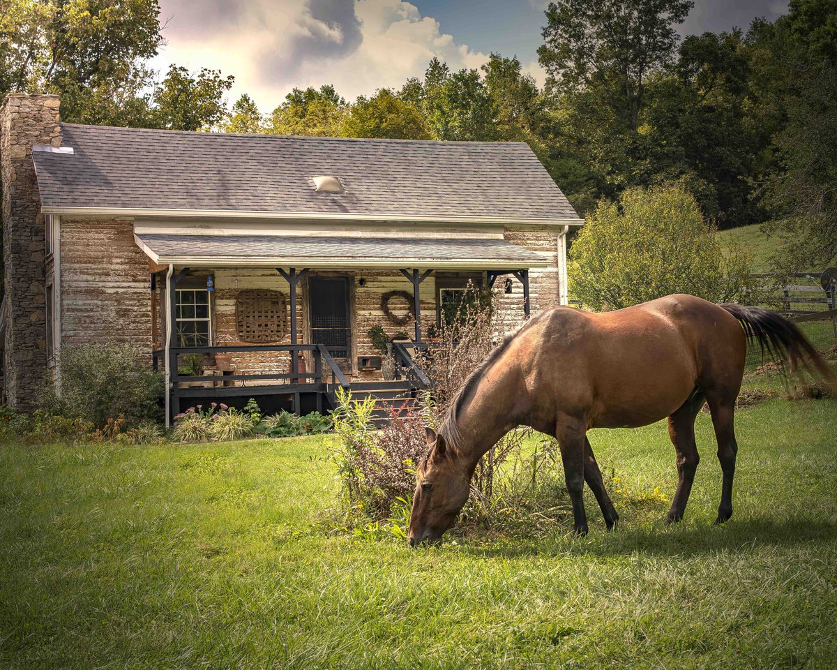 GotoGtown's tweet photo. Happy #FarmFunFriday! Today's edition features our local Stamping Ground farm, Three Hill Farm, https://t.co/CexVYAq2RL. This farm specializes in a true horsemanship experience for beginner to established riders. π΄
π·---> Frankie Stallard https://t.co/nsPEKrPoZr
