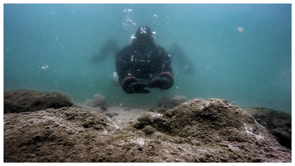 dominik_johnson's tweet photo. a good dive master you become, the bottom you do touch not, #MayTheFourth! #ScubaDiving w/in #SpringHarmony cc. @VeBee @PADI @Scubapro @waterproofdive https://t.co/16fIeNTjbL