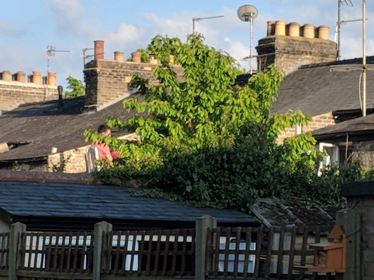 DaveASci's tweet image. I'm very confused as to what this neighbour is sitting on? #floatingchair