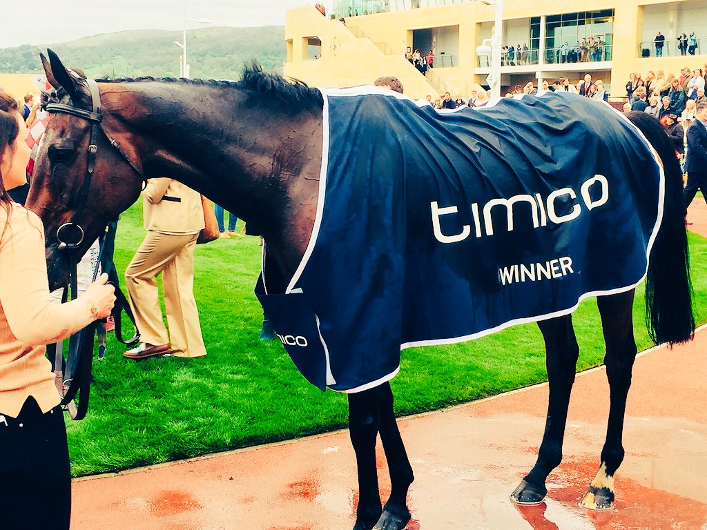 GBpointing tweet media