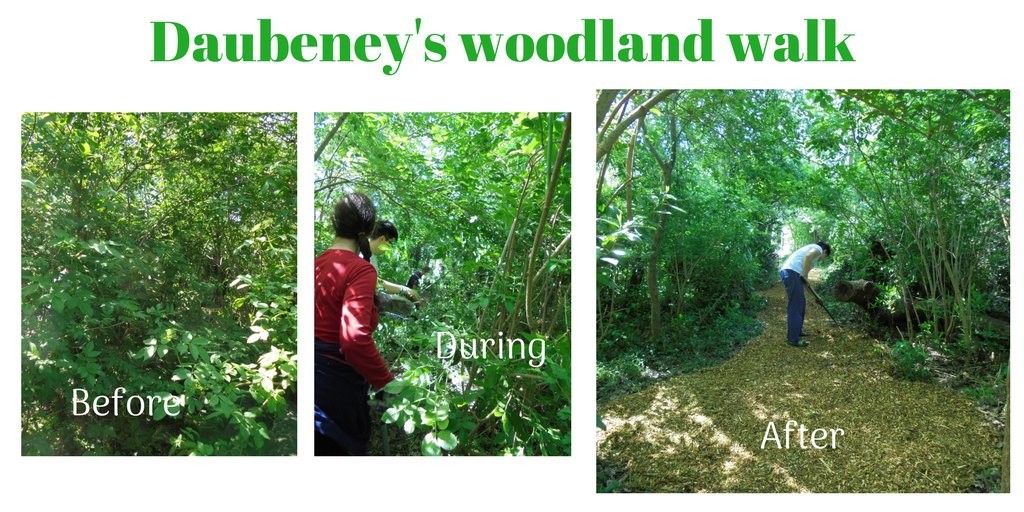 daubeneynature's tweet photo. Thank you @TCVHackneyGG for such a great effort making a new woodland path in #DaubeneyFields. We couldn't have done it without you! https://t.co/7k3n19fxDq