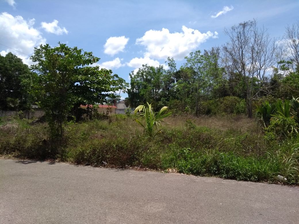 Iniciarán las direcciones de Salud y Catastro trabajos de notificación para propietarios de lotes baldíos o poblados de maleza.
goo.gl/v9tVxX