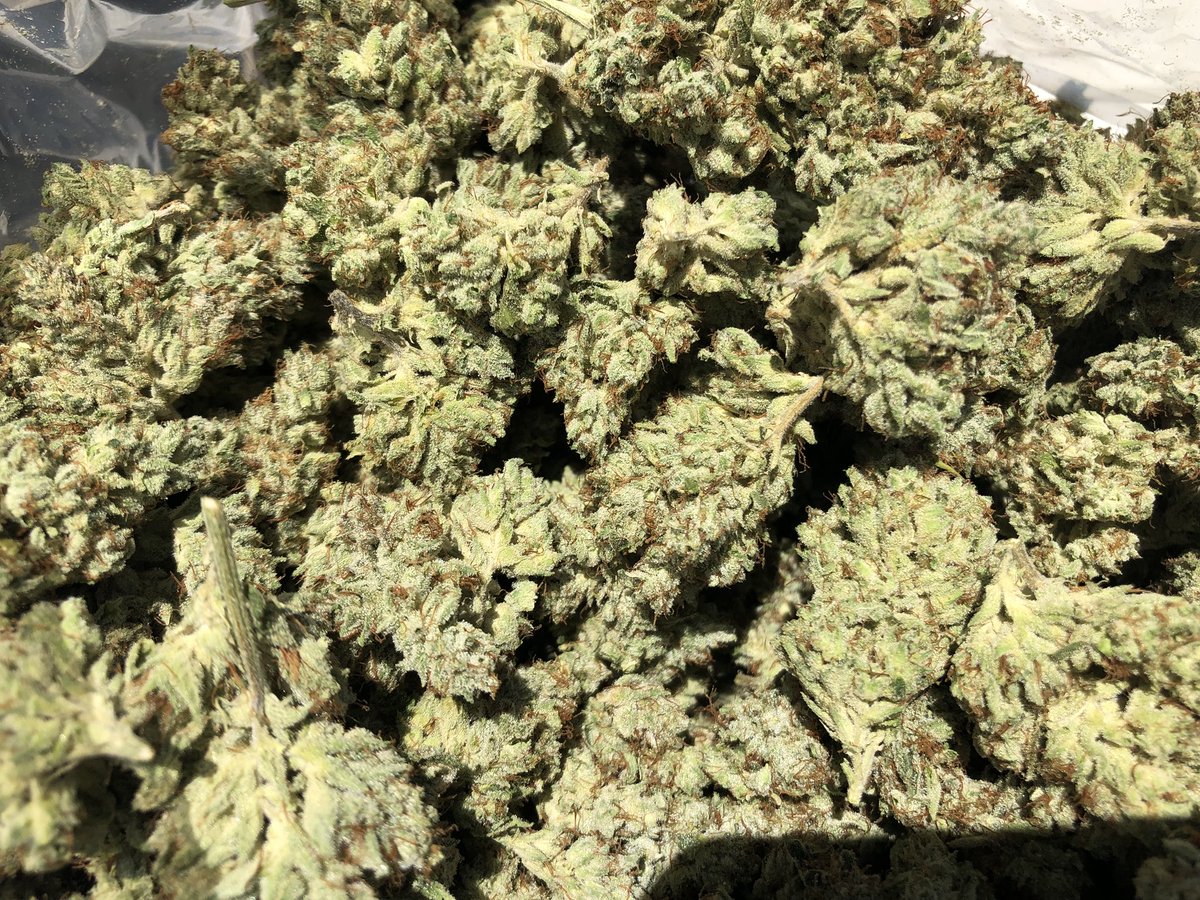 AN4Eljay's tweet photo. Lbs of fire ladies and gents! Out finding only the best! https://t.co/cE1Hh6j48a