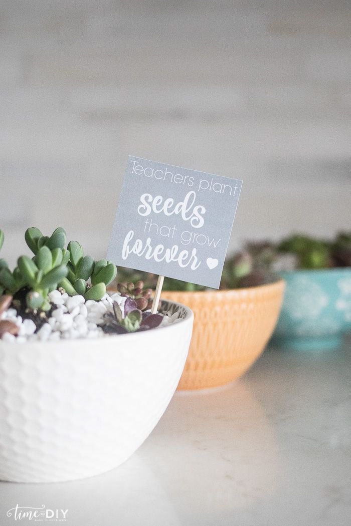 DebbyPHH's tweet photo. Simple succulent bowl + free printable for Teacher Appreciation Week: https://t.co/JQt0QN7RgC https://t.co/Vd8RS4Ranl