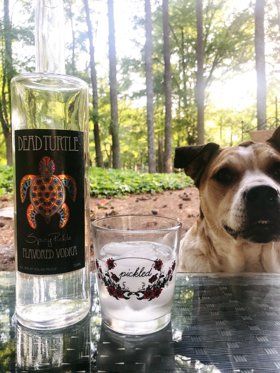 DeadTurtleVodka's tweet photo. Dead Turtle: dog approved. #DrinkDeadTurtle #DTdogs #ComeOutOfYourShell https://t.co/N9I8Le3w97
