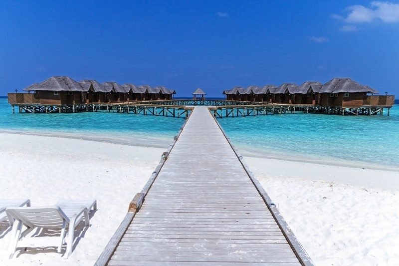 Barb_Hicks's tweet photo. Water living in the #Maldives! I call it perfection 😊 https://t.co/wtCD5G7eNt